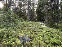 ØyvindBergkvam_20241031_6723d75d931f1.jpg