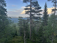 ØyvindBergkvam_20241031_6723d7601e47f.jpg