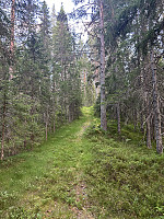 ØyvindBergkvam_20241031_6723d764d58f2.jpg