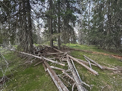 Rester etter trigpunkttårnet på Ryskåsen