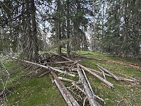 ØyvindBergkvam_20241031_6723d767b4aa9.jpg