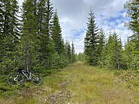 ØyvindBergkvam_20241104_6728c82fa9ebc.jpg