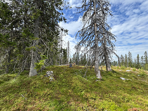 Svartåsen i Trysil