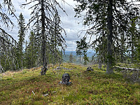 ØyvindBergkvam_20241104_6728c83638cfb.jpg
