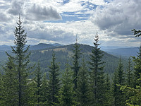 ØyvindBergkvam_20241104_6728c83a79c5b.jpg