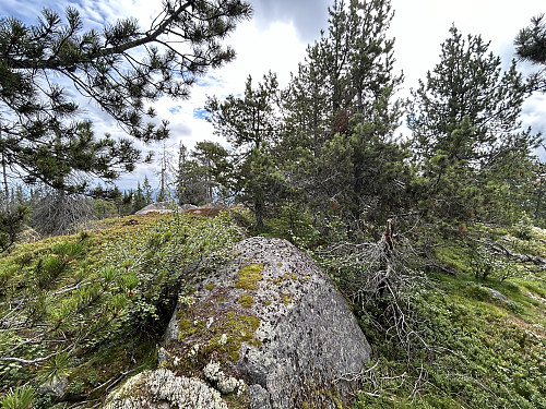 Trollsberget i Trysil