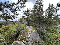 ØyvindBergkvam_20241104_6728c83c4fe46.jpg