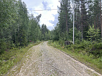 ØyvindBergkvam_20241104_6728ccb3919bb.jpg