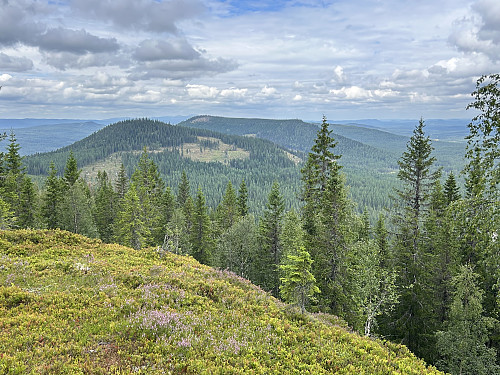 Fin utsikt mot Svartåsen og Trollsberget fra ryggen nord for toppen.