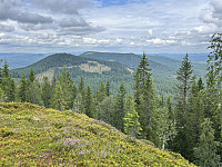 ØyvindBergkvam_20241104_6728ccb73bd8b.jpg
