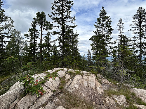 Toppunktet på Høgberget