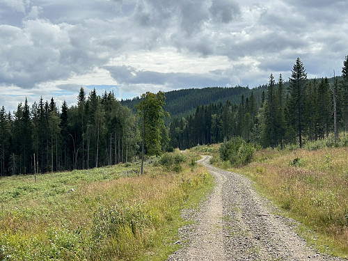 Fin vei å sykle på frem til østsiden av Oksberget