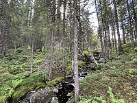 ØyvindBergkvam_20241104_6728d8919c4ca.jpg