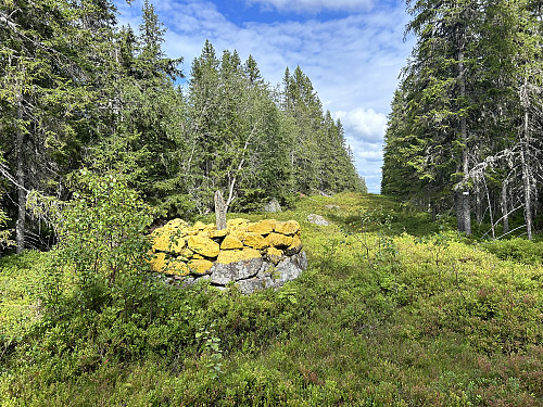 Riksrøys 112.