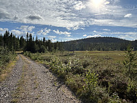 ØyvindBergkvam_20241104_6728e16220972.jpg