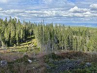 ØyvindBergkvam_20241104_6728e1638abb6.jpg