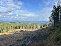 ØyvindBergkvam_20241104_6728e164e03b3.jpg