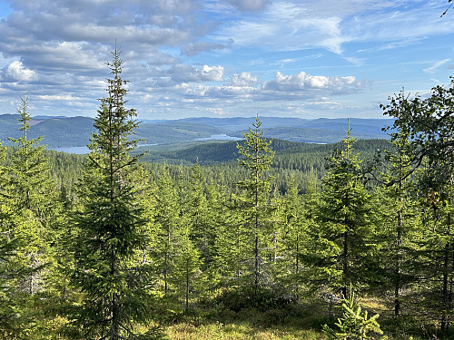 Utsikt sørover mot Höljessjön i Sverige.