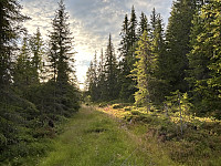 ØyvindBergkvam_20241104_6728e16e060f9.jpg