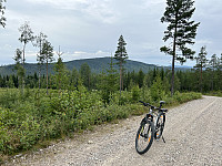 ØyvindBergkvam_20241104_6728e8ad92139.jpg