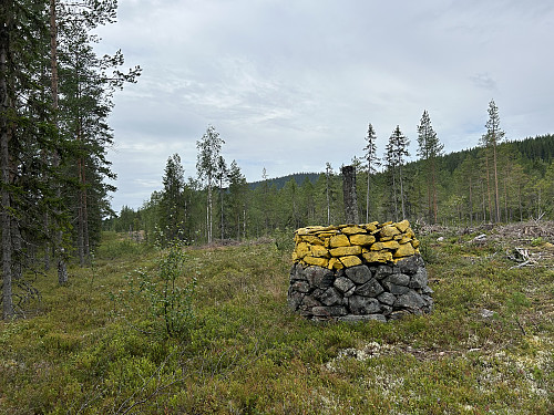 Riksrøys 121 A 