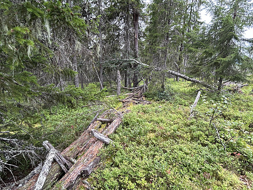 Rester etter trigpunkttårnet på toppen av Borveggen