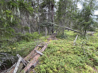 ØyvindBergkvam_20241104_6728e93d07ddc.jpg
