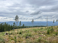 ØyvindBergkvam_20241106_672b56e5df74f.jpg