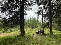 ØyvindBergkvam_20241106_672b56e7964c7.jpg
