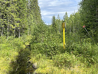 ØyvindBergkvam_20241106_672b75a1432ad.jpg