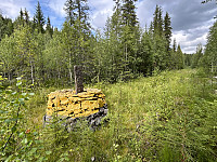ØyvindBergkvam_20241106_672b75a320e44.jpg