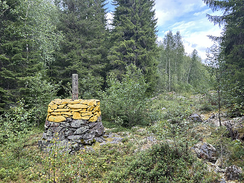 Jeg rakk å ta et bilde av Riksrøys 119 C før jeg flyktet opp mot Haraåsen til venstre i bildet
