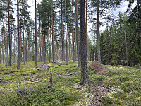 ØyvindBergkvam_20241106_672b75a740247.jpg