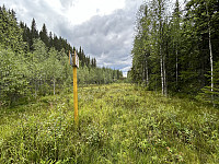 ØyvindBergkvam_20241106_672b75a94744e.jpg