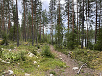 ØyvindBergkvam_20241106_672b7c3799c73.jpg