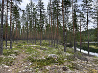 ØyvindBergkvam_20241106_672b7c3fc97a0.jpg