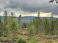 ØyvindBergkvam_20241106_672b7fa38fc3d.jpg