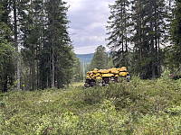 ØyvindBergkvam_20241106_672b7fa50af57.jpg