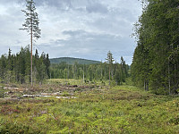 ØyvindBergkvam_20241106_672b7fa6a3fec.jpg