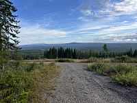 ØyvindBergkvam_20241106_672ba16fed12f.jpg