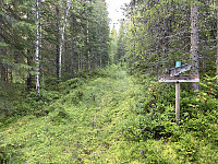 ØyvindBergkvam_20241106_672ba17271084.jpg