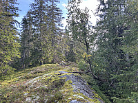 ØyvindBergkvam_20241106_672ba177491e0.jpg