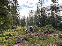 ØyvindBergkvam_20241106_672ba179979b4.jpg