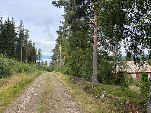På vei oppover langs grusveien.