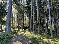 ØyvindBergkvam_20241107_672d0d82b16fa.jpg