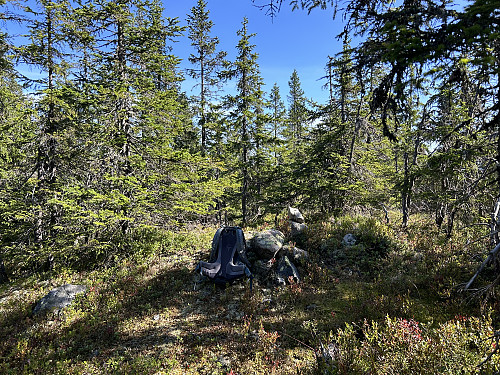 Kroktjernsberget 651 moh