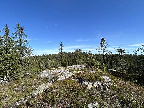 Sør for Paradiskollen 665 moh. I bakgrunnen ses Paradiskollen