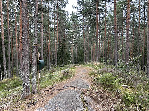 Brattåsen i Lillestrøm