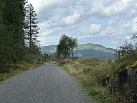 ØyvindBergkvam_20241108_672e161048e19.jpg