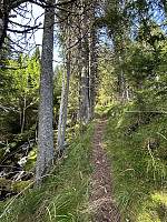 ØyvindBergkvam_20241108_672e161b0567f.jpg